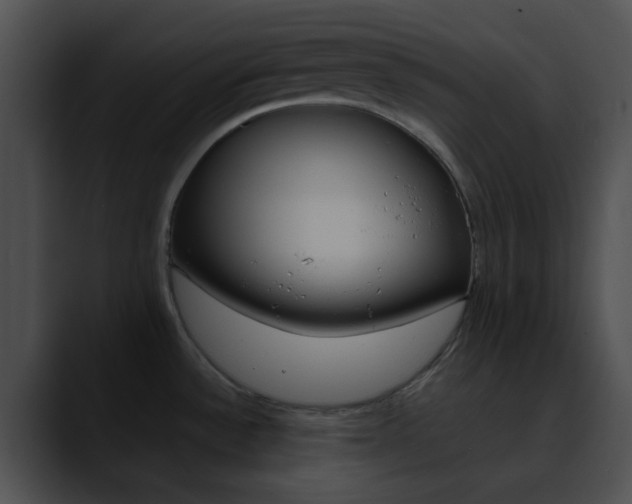 X0000090621532200707171053