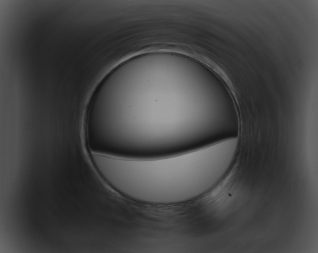 X0000090621533200707171053