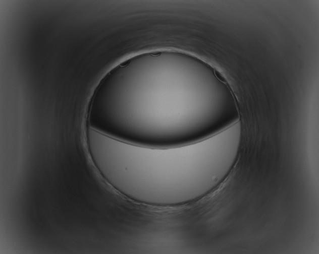 X0000090621534200707171053