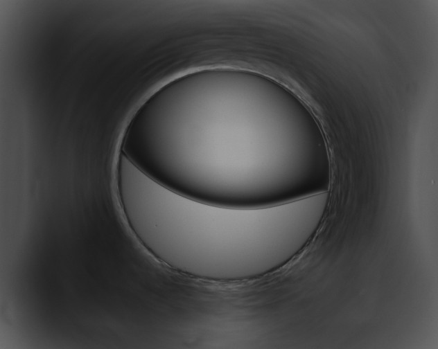 X0000090621536200707171053