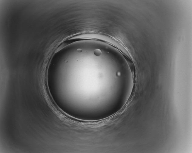 X0000090620001200707171443