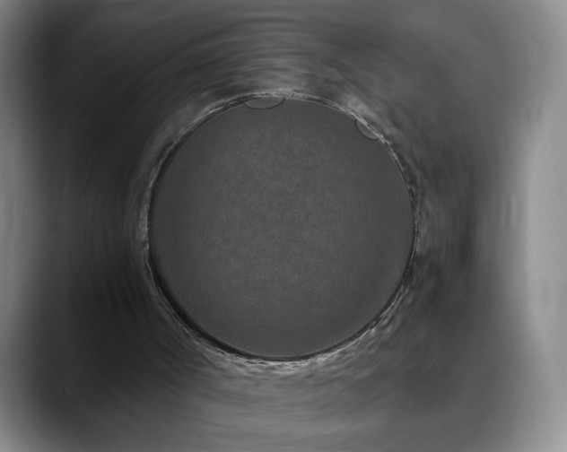 X0000090620002200707171443