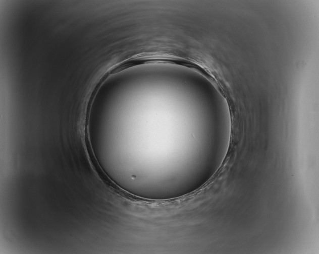 X0000090620003200707171443