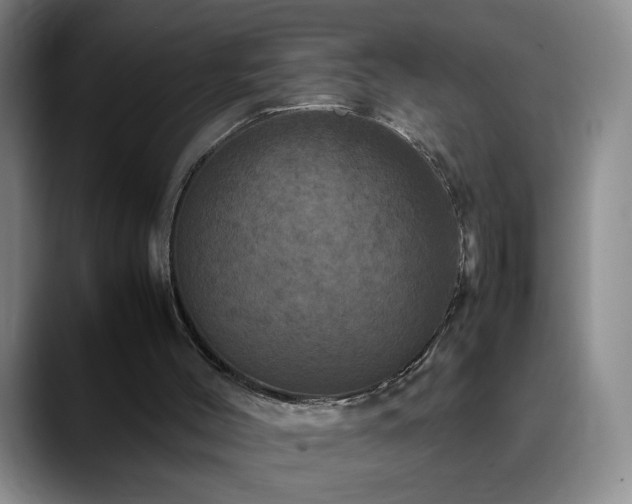 X0000090620004200707171443