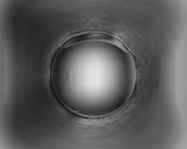 X0000090620005200707171443