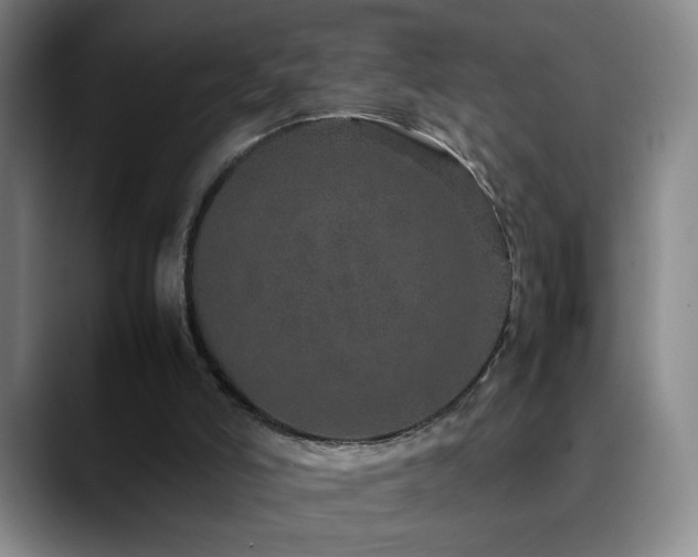 X0000090620006200707171443