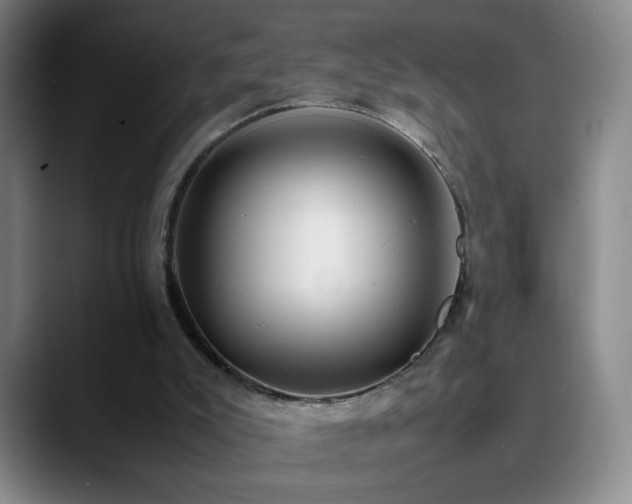 X0000090620007200707171443