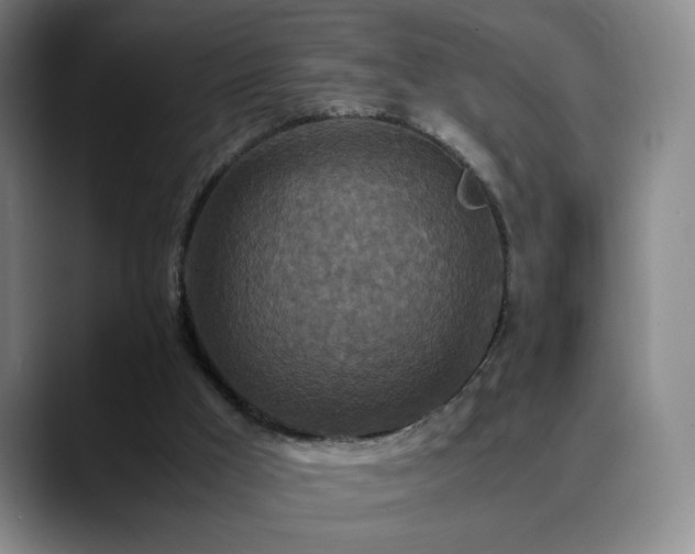 X0000090620009200707171443
