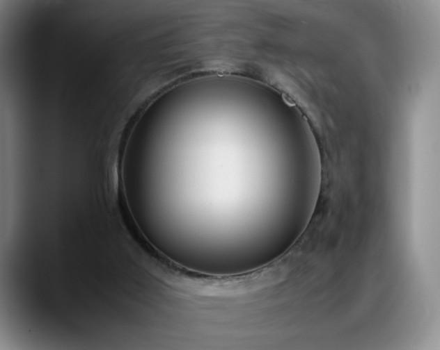 X0000090620011200707171443