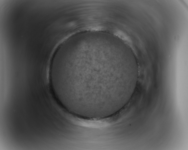 X0000090620012200707171443