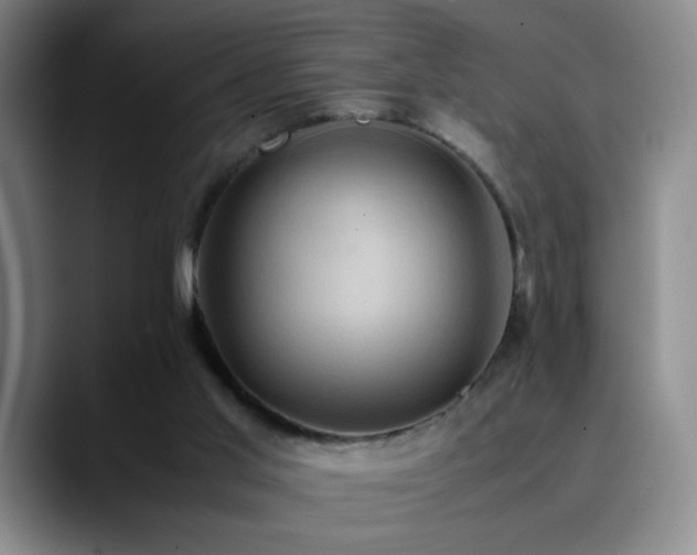 X0000090620013200707171443