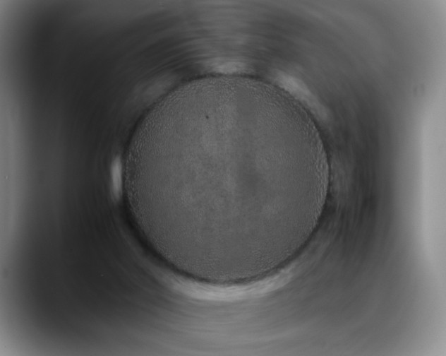 X0000090620014200707171443