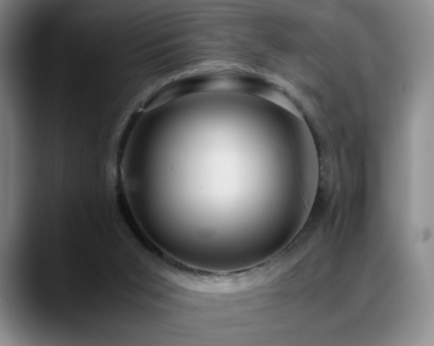 X0000090620015200707171443