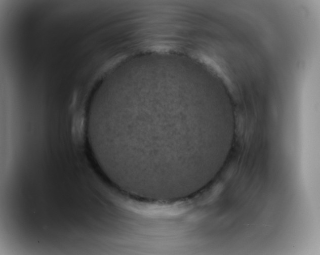 X0000090620016200707171443