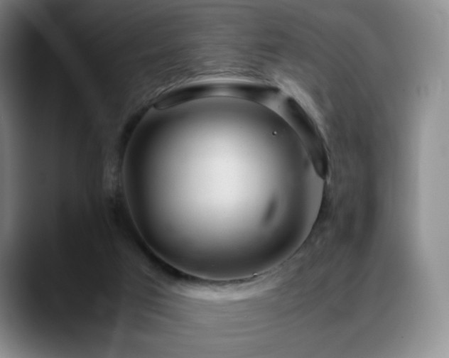 X0000090620017200707171443