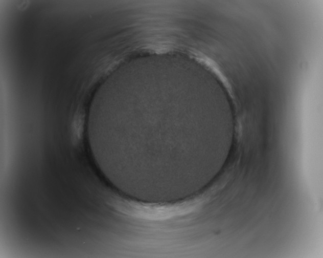 X0000090620018200707171443