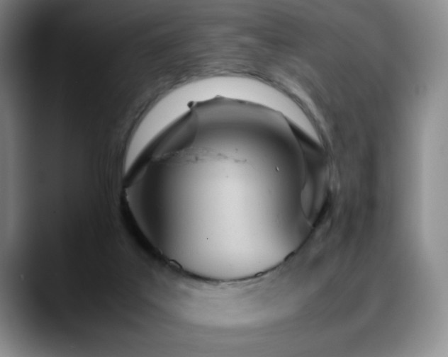 X0000090620019200707171443