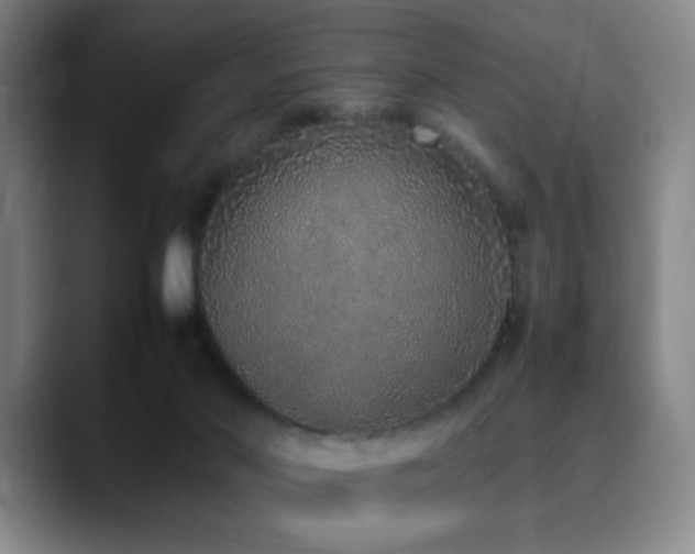 X0000090620022200707171443