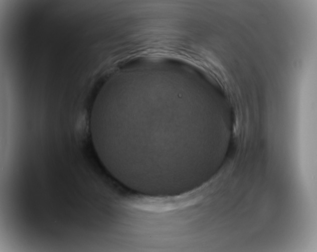 X0000090620029200707171443