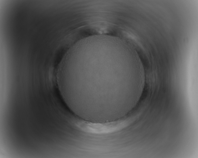 X0000090620030200707171443
