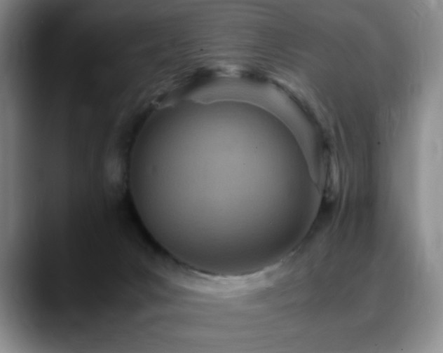 X0000090620031200707171443
