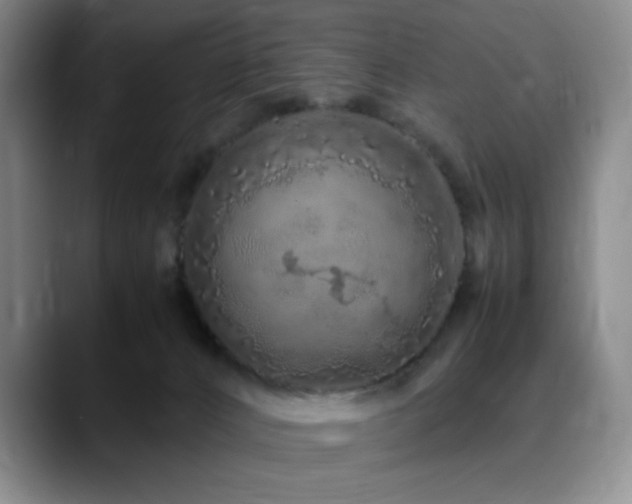X0000090620032200707171443