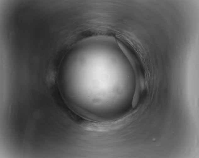 X0000090620033200707171443
