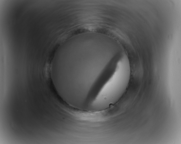X0000090620036200707171443