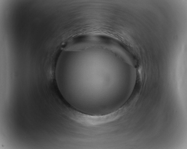 X0000090620039200707171443