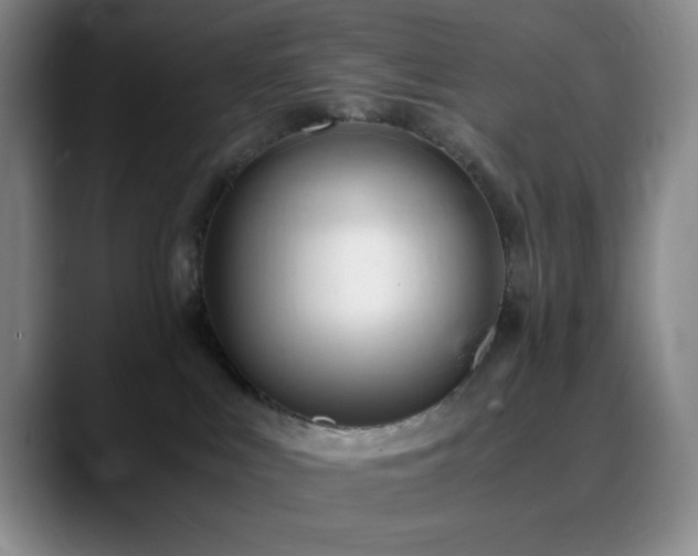 X0000090620043200707171443