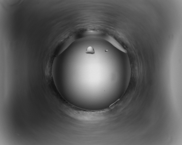 X0000090620044200707171443
