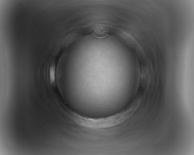 X0000090620046200707171443