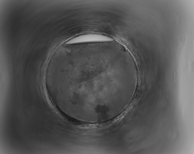 X0000090620049200707171442