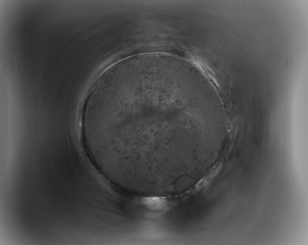 X0000090620053200707171442