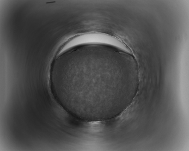 X0000090620054200707171442