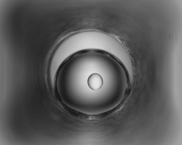 X0000090620056200707171442