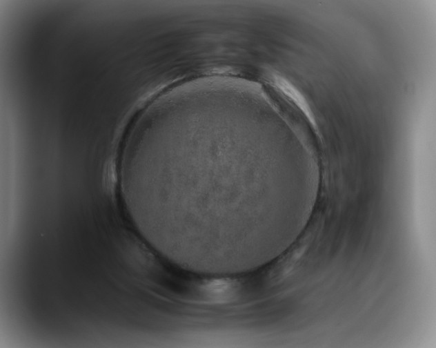 X0000090620059200707171442
