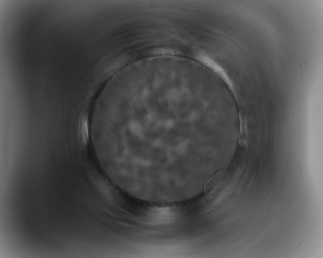 X0000090620061200707171443
