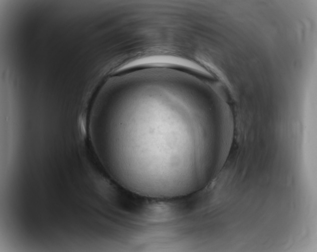 X0000090620062200707171443