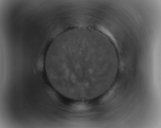 X0000090620065200707171443