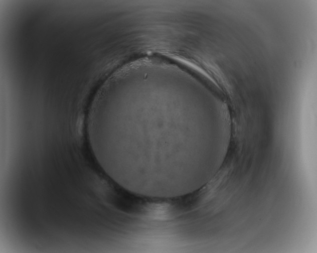 X0000090620066200707171443