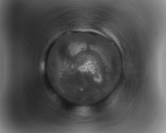 X0000090620067200707171443