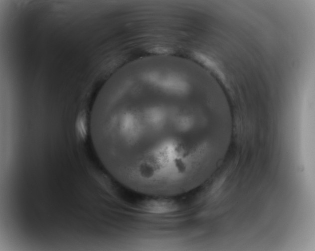 X0000090620069200707171443