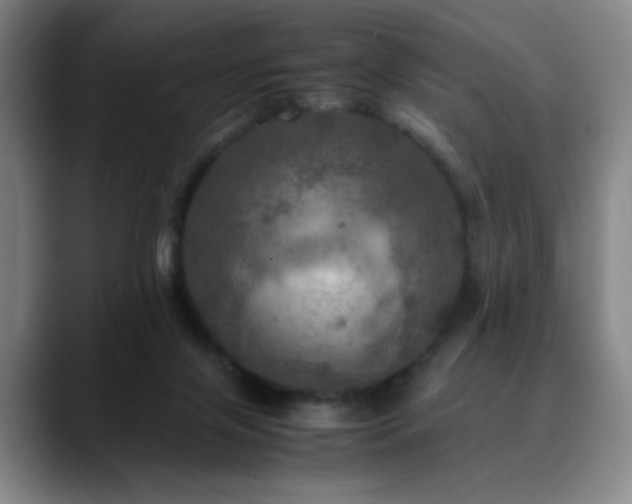 X0000090620071200707171443