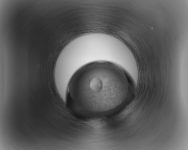 X0000090620076200707171443