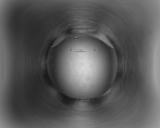 X0000090620078200707171443