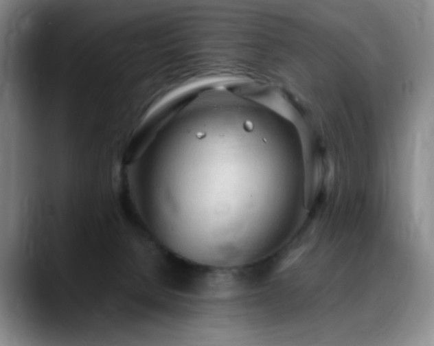 X0000090620080200707171443