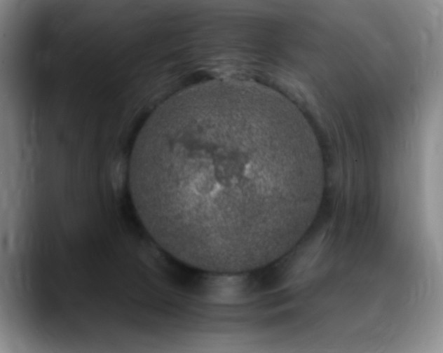 X0000090620081200707171443