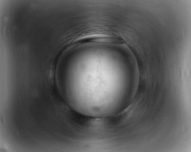 X0000090620082200707171443