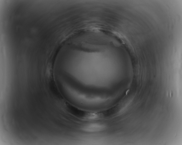 X0000090620083200707171443
